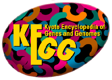 KEGG logo